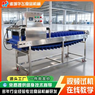 输送式韭菜韭黄切根机 不锈钢蒜苗香菜去根设备 蔬菜粗加工去根机