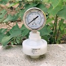 耐震四氟膜片油压表 304表盘 PVDF隔膜压力表Y60 DN15内丝不锈钢款