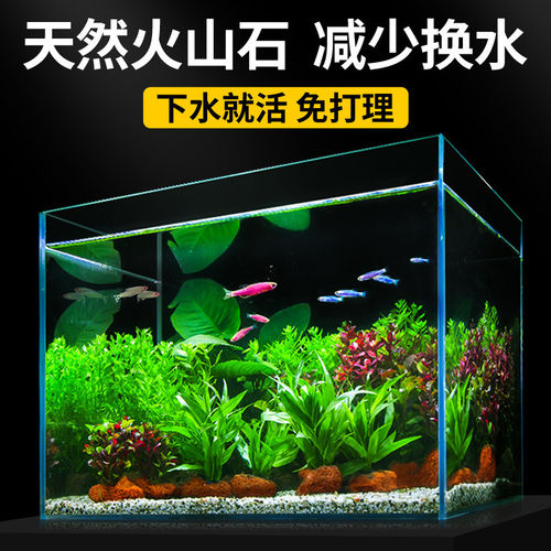 水下植物系列鱼缸造景增氧火山石