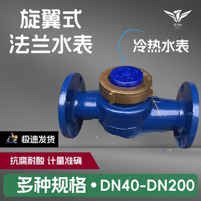 菲文特宁波金龙水平旋翼式法兰冷水表 热水表DN150 100 80 65 50
