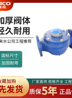 正品埃美柯LXSY铁壳全液封法兰南瓜表大肚子加长冷水机械水表077