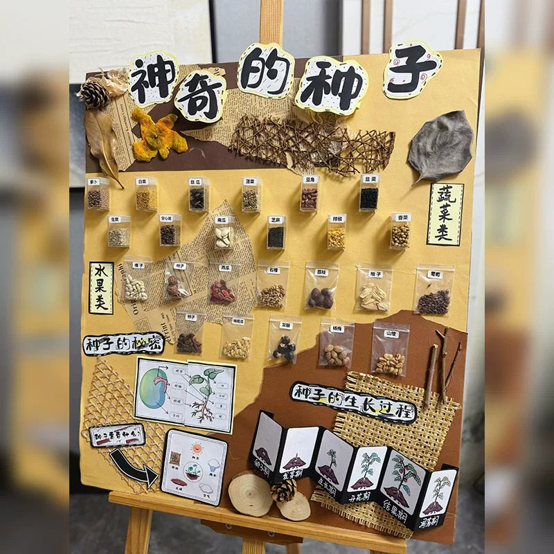 幼儿园种子博物馆展示墙环创布置