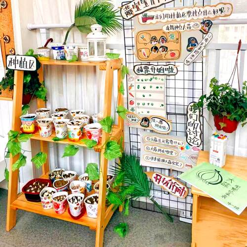 幼儿园植物角展示架木头架子