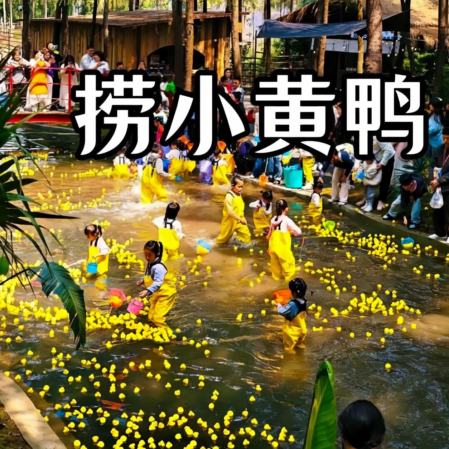 幼儿园抓捞鸭子主题活动夏季玩水