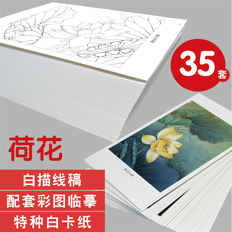 荷花白描底稿团扇工笔中国画临摹卡画册儿童画本入门描摹本勾线本