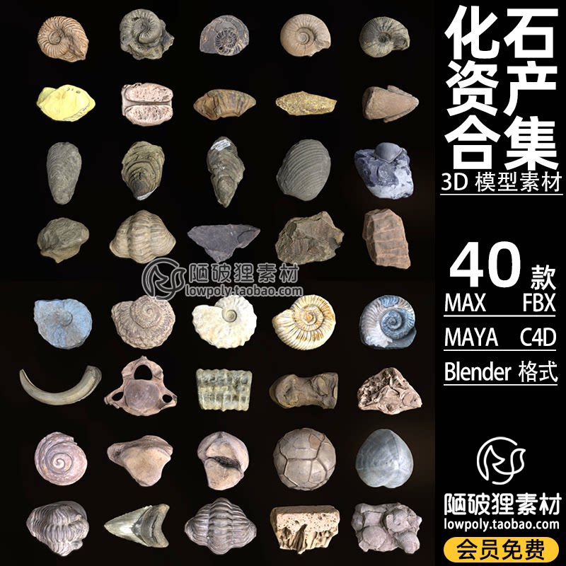 40款 低面化石模型c4d博物馆贝壳生物化石blender fbx max 3d素材