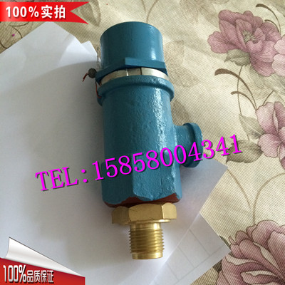 微启式外螺纹高压A21永一