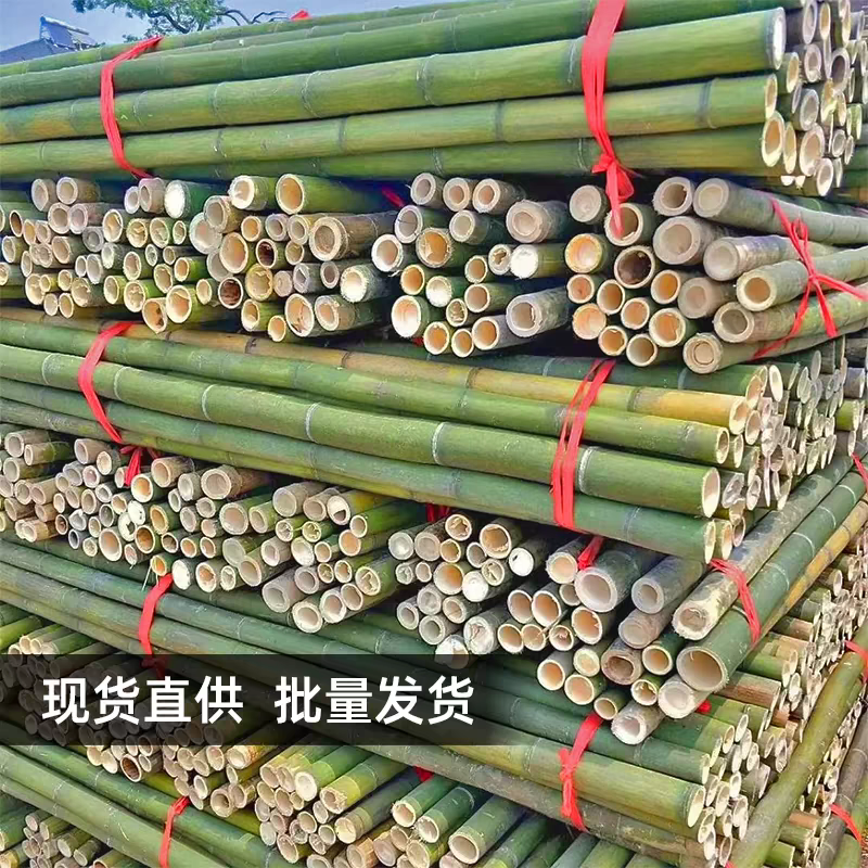 竹竿架种菜园搭架豆角架蔬菜爬藤粗细小竹竿彩旗杆细竹子篱笆栅栏