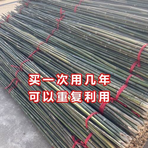 竹竿菜园搭架豆角黄瓜架篱笆栅栏