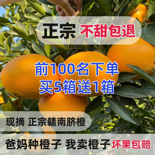 华农兄弟赣南脐橙新鲜水果10产地直发寻乌官方平安夜甘南江西鲜切