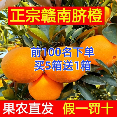 华农脐橙赣南寻乌新鲜水果10斤