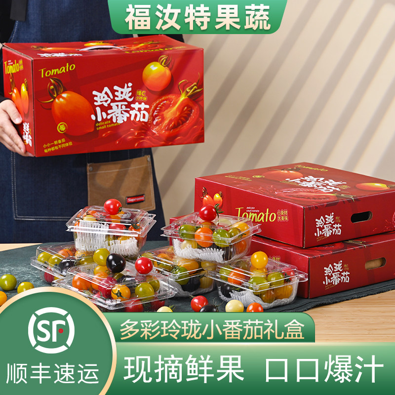山东寿光七彩小番茄礼盒装圣女果新鲜现摘小柿子青口蜜彩色小番茄