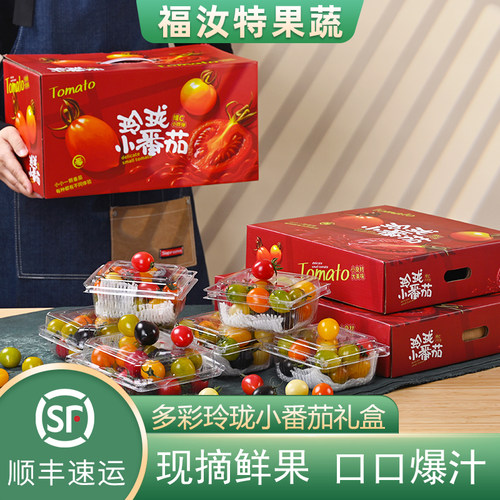 山东寿光七彩小番茄礼盒