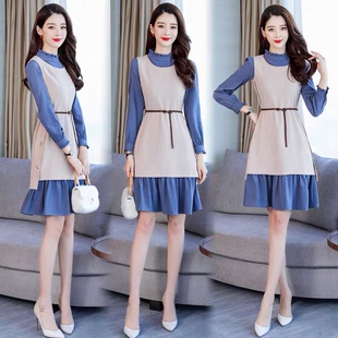 2025春新款时尚2件套大码连衣裙修身显瘦遮肚子 百搭优雅 年货节