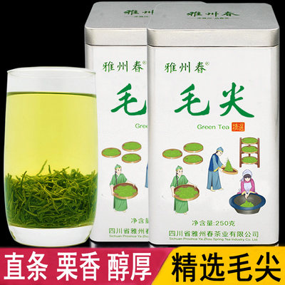 毛尖绿茶雅州春罐装500g