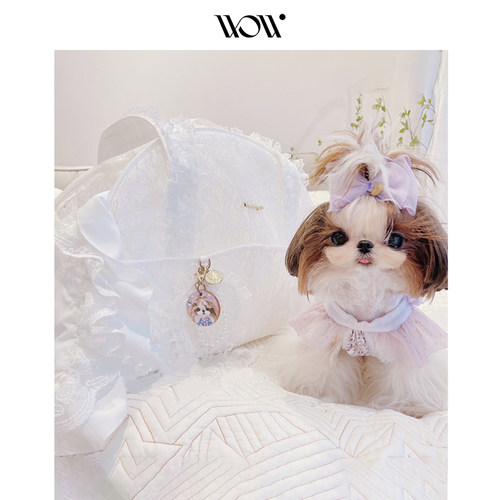 蕾丝便携用品春季外带宠物背包