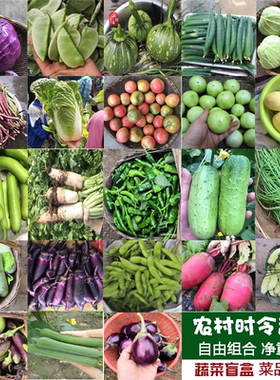 农家菜应季蔬菜拼箱5斤混搭豆子茄子茭白地瓜萝卜花菜荷兰豆莴笋
