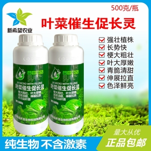 芹菜香菜菠菜甘蓝生菜榨菜莴苣空心菜叶绿肥厚叶菜快长催长促长灵