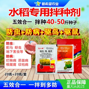 水稻专用拌种剂 五效合一防虫防病 吡虫啉咪鲜胺稻谷种衣剂农药