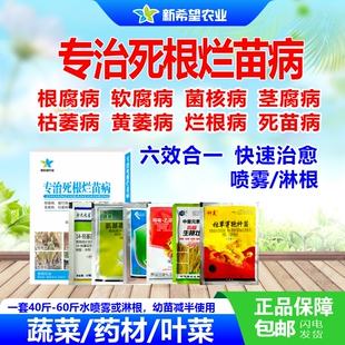 专治根腐病软腐病烂根病死苗病柴胡苍术药材芹菜辣椒西瓜杀菌剂药