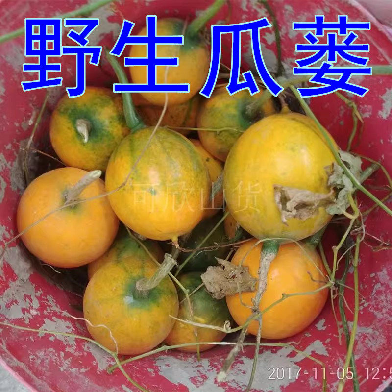 野生新鲜瓜蒌 整瓜蒌 青栝楼无硫全瓜篓皮瓜蒌仁子籽瓜蒌根天花粉