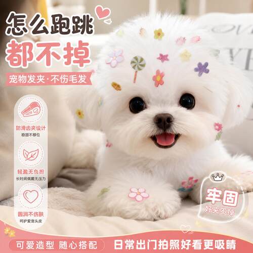 狗狗发夹头饰不掉迷你BB夹宠物狗狗迷你小发夹贴纸小狗贴额头贴