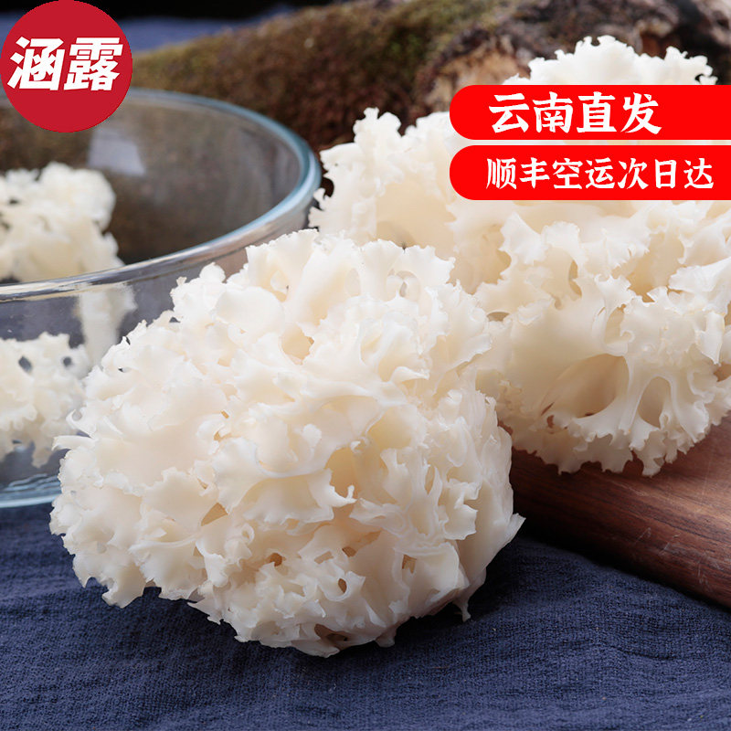 滇百味 新鲜绣球菇2斤云南特产花边花瓣菌食用野生菌蘑菇口感脆爽