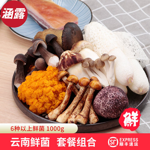 云南新鲜菌菇火锅（顺丰空运）