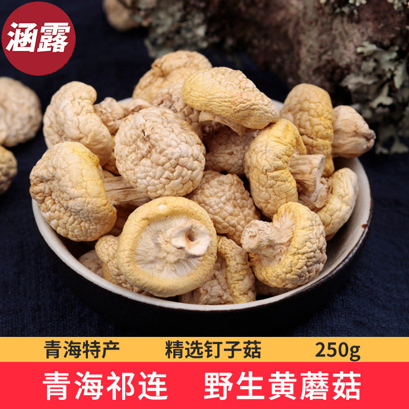 青海特产黄菇干货祁连山野生小黄蘑菇野生菌皇菇丁子菇黄蘑菇250g