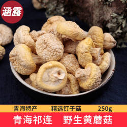 青海特产黄菇干货祁连山野生小黄蘑菇野生菌皇菇丁子菇黄蘑菇250g