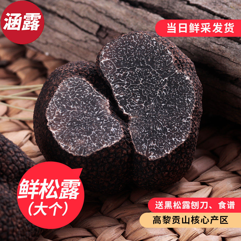 礼盒装新鲜黑松露高黎贡山块猪拱菌松露野生菌6-8大个黑松露500g