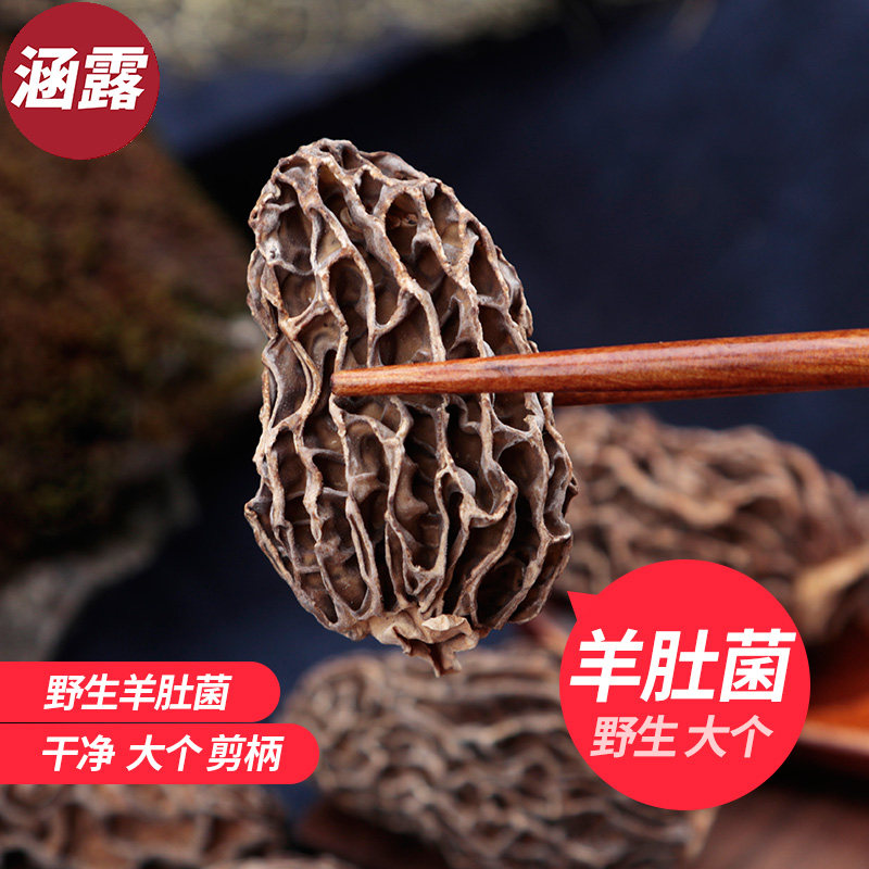 云南野生羊肚菌干货大号野生羊肚菌5CM剪柄羊肚蘑菇50g非500g