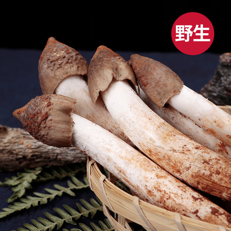 2026新鲜鸡枞菌野生三八菇荔枝菌斗鸡菇鸡纵菌云南特产