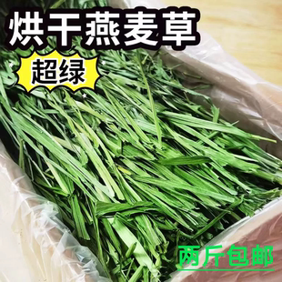 7A烘干黄金燕麦草草段兔子草龙猫荷兰猪粮食兔粮饲料干草磨牙岷县