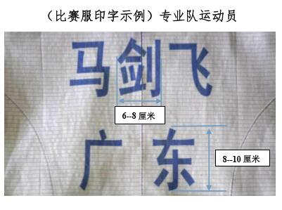 Fencing clothes Metal clothes Game service Printing Printing clothes support Return and exchangein the Sports/Yoga/Fitness/Fans supplies , Fencing , Foil Series , Flowers Jian Jian clothes  category - from Buy2taobao.com to provide professional Taobao agent buy service
