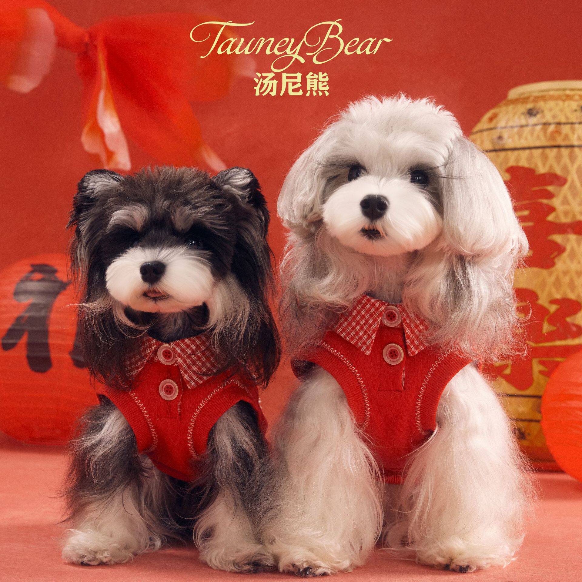 狗狗卫衣红色喜庆马年新年款宠物雪纳瑞泰迪腊肠比熊博美中小型狗