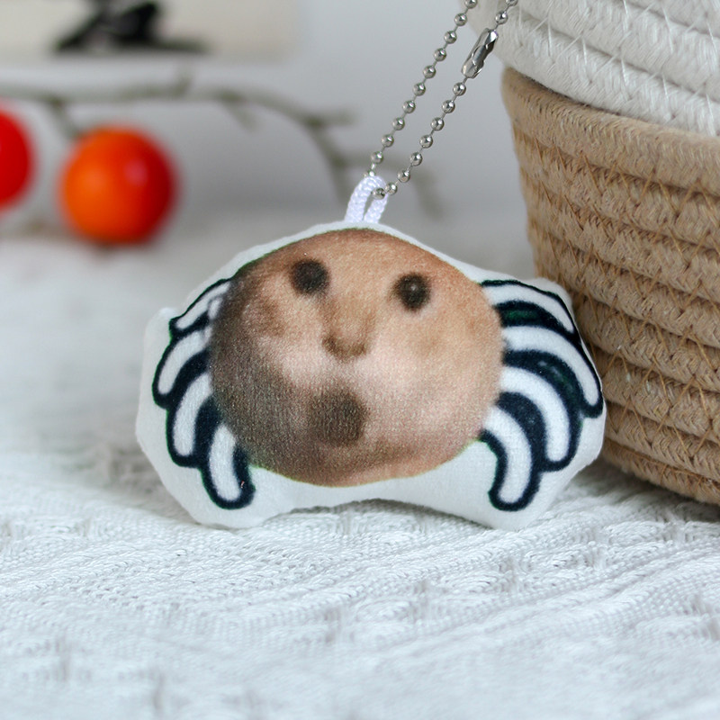 蜘蛛耄耋猫咪表情包挂件猫猫meme宠物周边发声玩偶定制钥匙扣挂饰