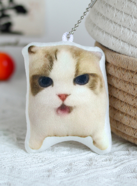 将大局逆转吧开猫meme挂件杨戬猫咪发声玩偶钥匙扣来图定制包挂饰