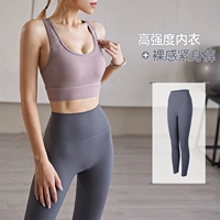 Фитнес -наряд [Lotus Purple + Titanium Grey]