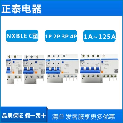正泰NXBLE-63/32空气2P家用63A断路器32A开关带漏电保护器DZ47LE