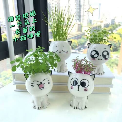 可爱猫咪小草盆栽陶瓷种