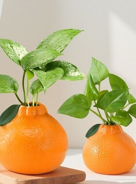 创意橘子水养绿萝水培花盆客厅桌面办公桌装饰品摆件花瓶架绑枝机