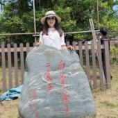 临沧白莺山茶王二嘎子2800单株 普洱茶生茶100g 饼茶