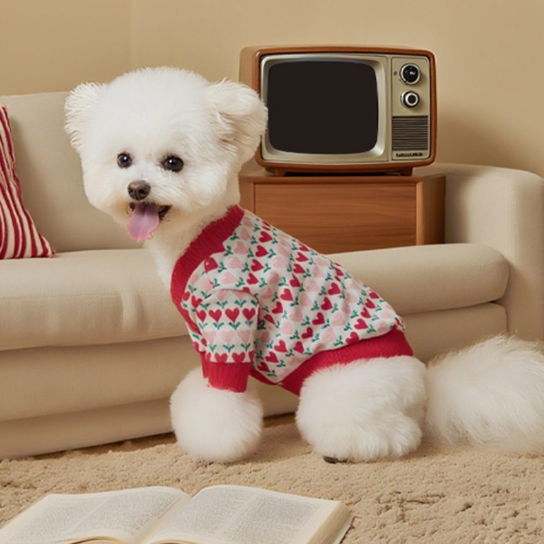 狗狗衣服秋冬猫咪衣服爱心针织衫小型犬保暖喜庆红色毛衣宠物服装,宠物/宠物食品及用品,狗宠物服装/雨衣,淘宝优惠券,粉丝福利购,淘宝优惠卷
