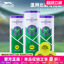 Slazenger史莱辛格网球施莱辛格温网铁罐豹子3 专业比赛网球 4粒装