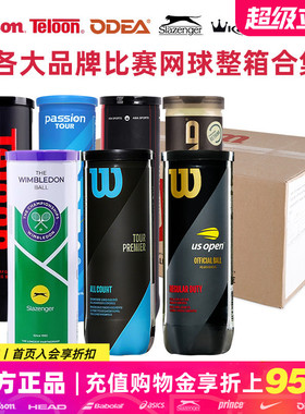 Wilson/史莱辛格/欧帝尔Passion/康龙/天龙Pound P4训练比赛网球