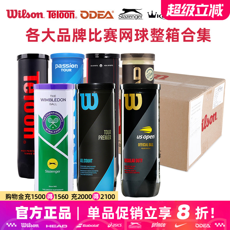 Wilson/史莱辛格/欧帝尔Passion/康龙/天龙Pound P4训练比赛网球