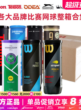 Wilson/史莱辛格/欧帝尔Passion/康龙/天龙Pound P4训练比赛网球