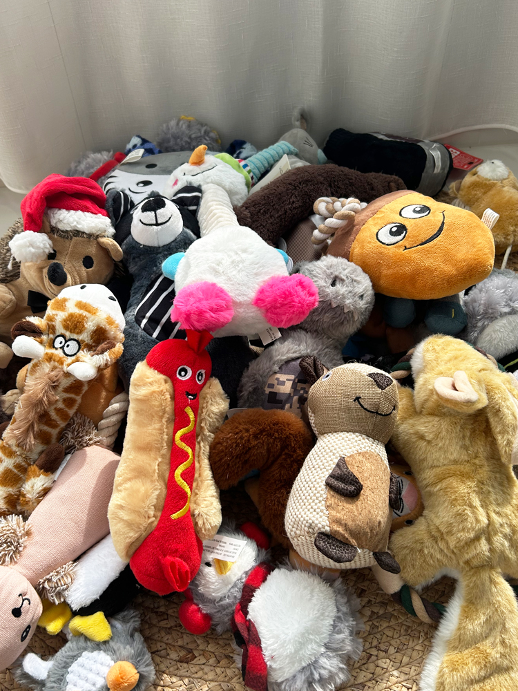 杂款狗狗玩具 发声叫叫大中小型犬宠物陪伴玩具 柯基柴犬泰迪玩具