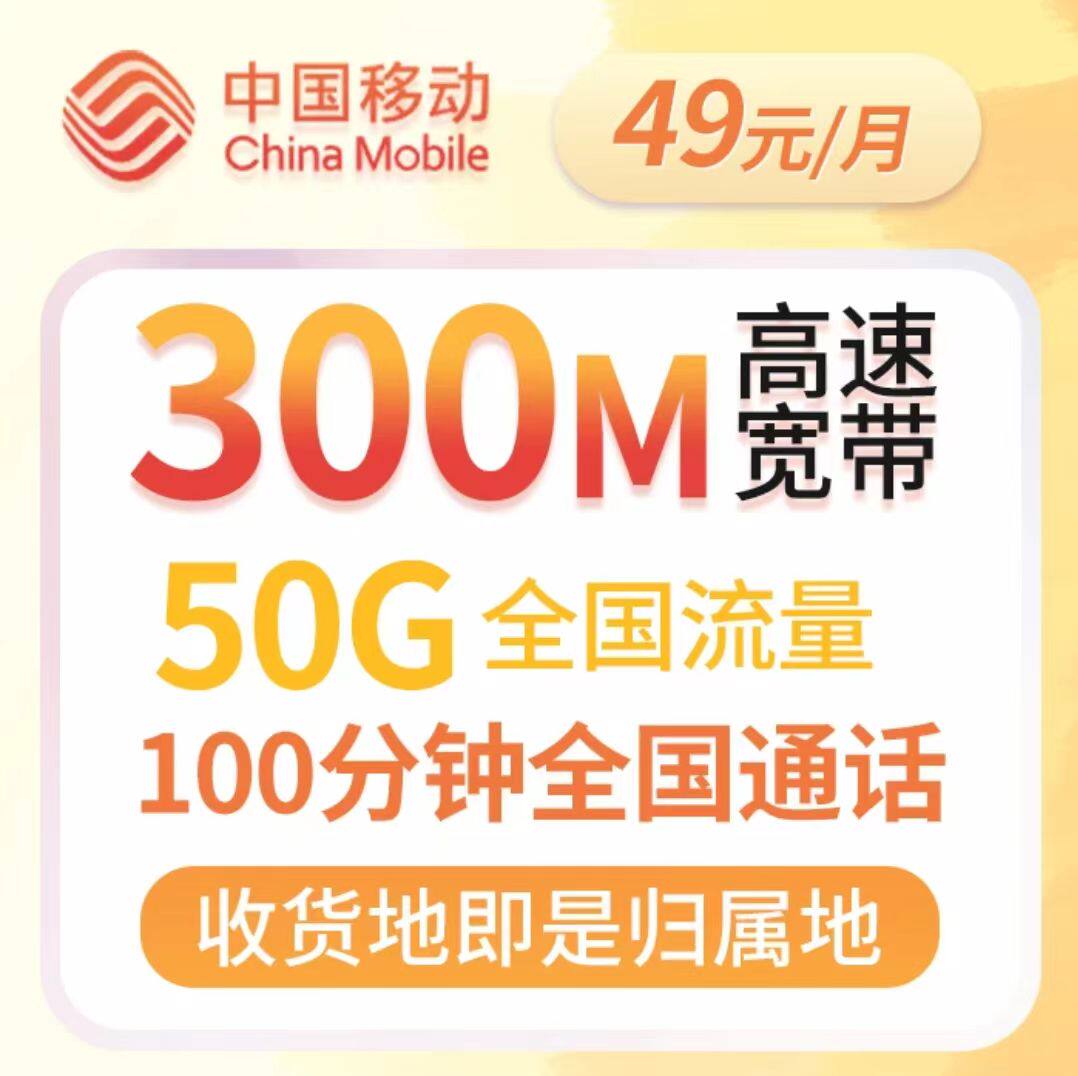 中国移动300M宽带无线限卡全国通用动感地带芒果流量花卡送手机卡属于什么档次？